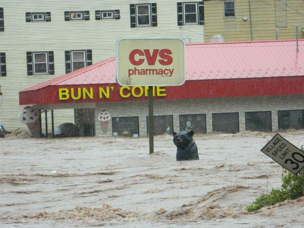 Margaretville,